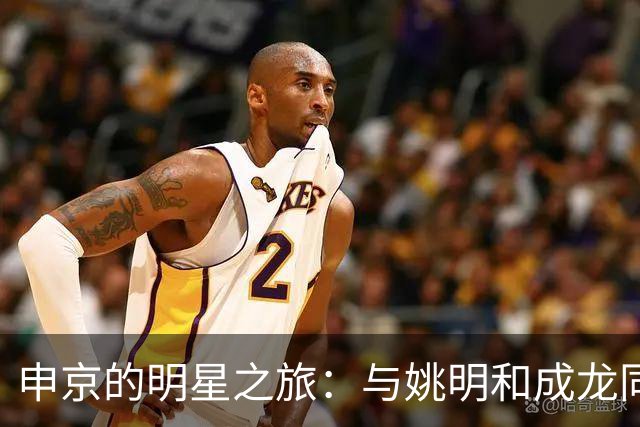 申京的明星之旅：与姚明和成龙同框的奇妙瞬间